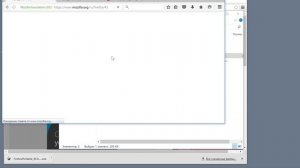 Настройка браузера Firefox Portable