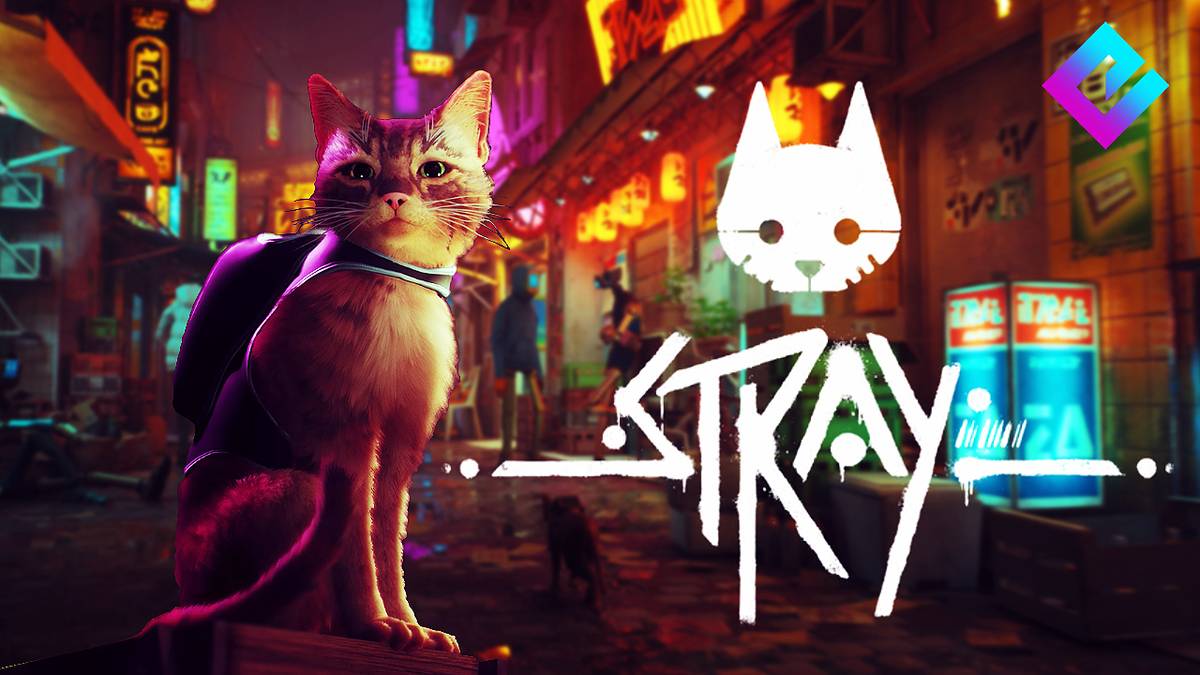 Stray ч. 2