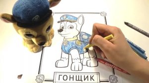РАСКРАСКИ! РАСКРАШИВАЕМ КАРТИНКИ ДЛЯ ДЕТЕЙ ИЗ МУЛЬТФИЛЬМА ЩЕНЯЧИЙ ПАТРУЛЬ ГОНЩИК