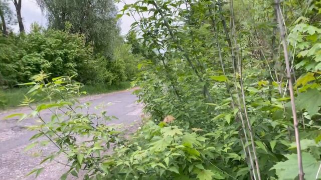 Открытие сезона 2022, замена масла в двигателе мотороллера «Тулица» смотреть онлайн