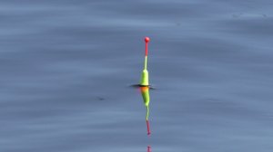 Рыбалка  на деревенском озере. Ловля крупного карася в камышах на поплавочную удочку. Отличный клёв