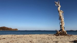 БЕЛЫЙ ШУМ МОРЯ ? для сна и релакса ? 10 часов 8d AUDIO ? 4K  Бухта Астафьева - Приморский край