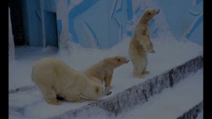 Мы пойдём налево, мы пойдём направо...