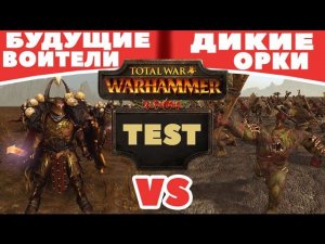 Будущие воители VS Дикие орки | Тесты Total War: Warhammer