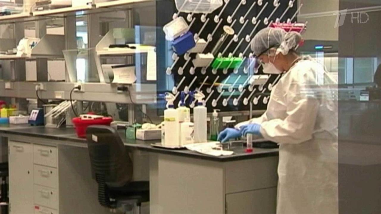 В России начали изучение документов о создании американцами биологического оружия на территории Г...
