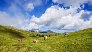 Утренняя медитация, настрой на хороший день
