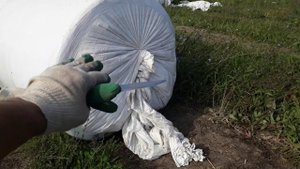 Поле после навоза и выемка рулона из сосиски