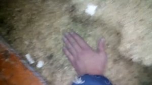 Паро и гидро изоляция, два в одном. Утепление потолка в бане, старый, дедовский способ.