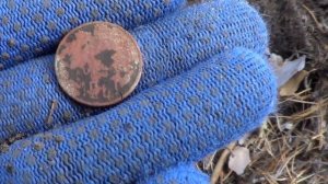 Поиск 100 ЗОЛОТЫХ ЧЕРВОНЦЕВ. В поисках сокровищ / In search of treasures