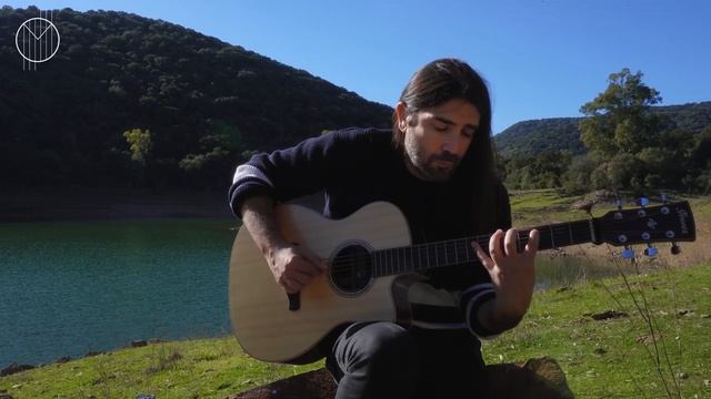 Third Place - Tonewood Amp Competition | Fingerstyle Guitar смотреть онлайн