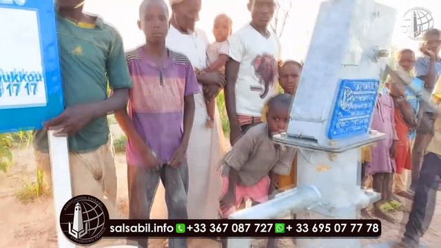 Puits №: 2379 (Niger) / Колодец №: 2379 (Нигер) смотреть онлайн