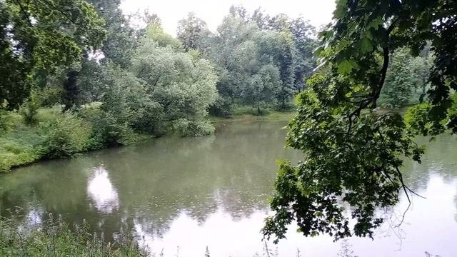 Свежесть после ливня