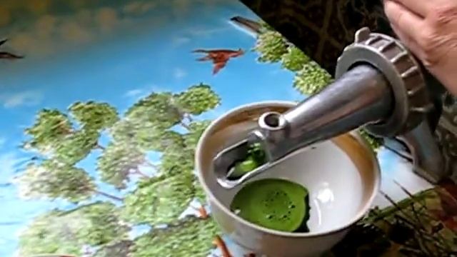 Витграс. Выращивание ростков в домашних условиях. Сок из ростков пшеницы. Полезное питание.