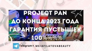 Project Pan до конца года ( 2023 )