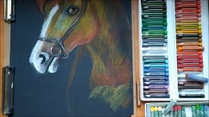 Рисуем портрет лошади пастелью. Portrait of a horse in pastel.