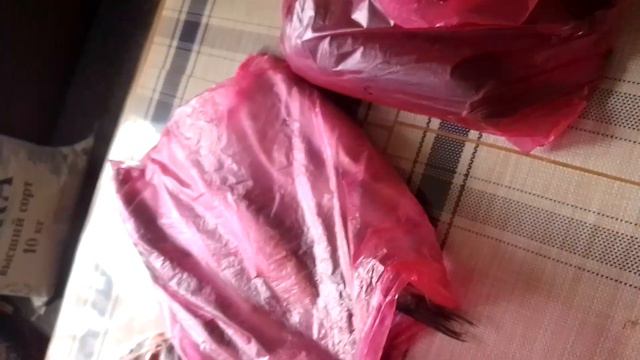 Покупки #луковичные #закупки #закупкапродуктовая #видео