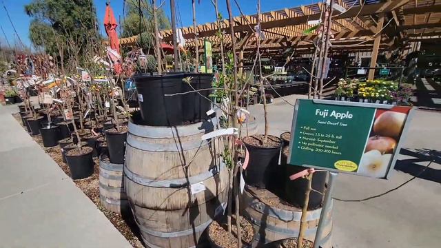 ARMSTRONG GARDEN CENTER - Southern California's BEST nursery? смотреть онлайн