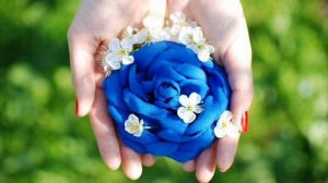 Karolina- ты мой цветочек