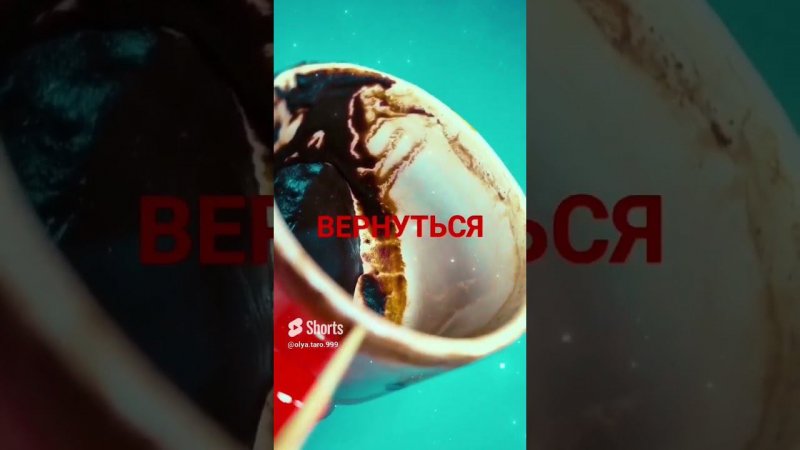 И СКОРЕЕ ВСЕГО ТАМ УЖЕ НЕ ЖДУТ  #youtubeshorts #youtube #tiktok