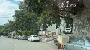 Гаспра, Кореиз пгт. Алупкинское шоссе,мимо санаториев "ДНЕПР", "ДЮЛЬБЕР". 08.09.2024. Крым. Crimea.