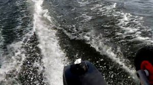 Проба гидрокрыла под мерк 2.5