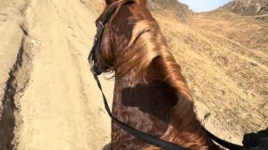 ПО СЛЕДАМ ПРЕДКОВ: КОННЫЙ ПОХОД В ХАЙБАХ