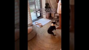 Попробуй не засмеяться челлендж #7