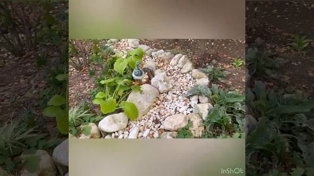 Лучшая клумба в детском саду смотреть онлайн