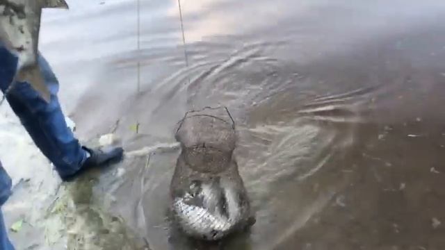 Рыбалка Санкт Петербург Ольгина смотреть онлайн