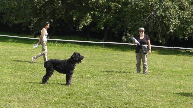 УСКЦ "Останкино" - обидиенс 10.08.2013 г. смотреть онлайн