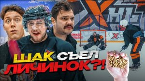 НОВЫЙ БЛОГГЕР В КОМАНДЕ_ SHAKSKILLS съел личинок_!