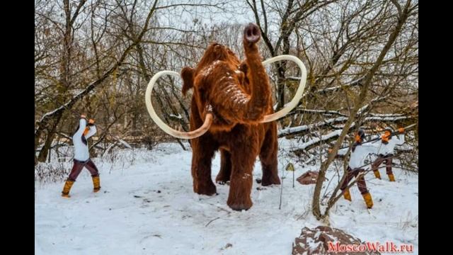 Анекдот охота на мамонта От командира до прапорщика смотреть онлайн