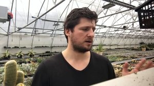 Как я укореняю черенки суккулентов - слово Мастера Георгия