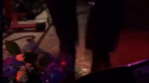 Чечётка Tap Tap Dance Степ