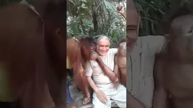 ПРИКОЛЫ смотреть онлайн