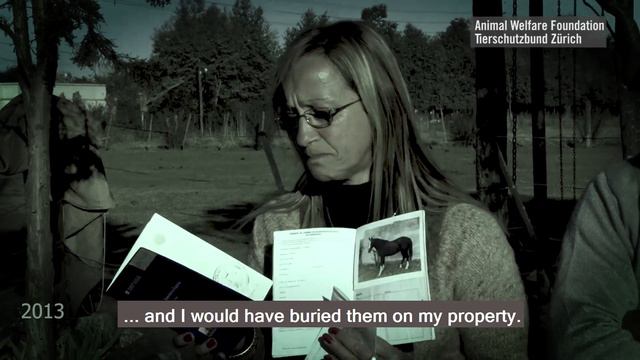A Web of Lies - Horsemeat Production in Argentina