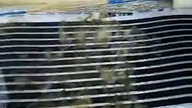 Кролиководство для начинающих подогрев маточника