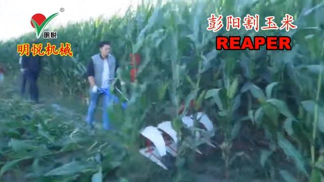 Касилка  Савримени из Китай  народ на шок ? ? смотреть онлайн