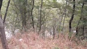 Ольгинка Чёрное море Поход на гору через Орбиту