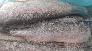 Вяленая рыба! Вяленная форель,нерка