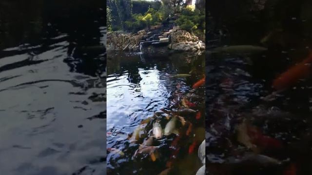 жизнь после инсульта часть 5 смотреть онлайн