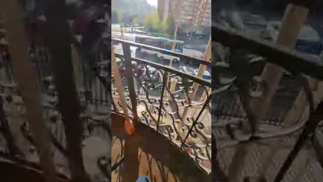 Карусель! Северное Бутово, Москва. смотреть онлайн