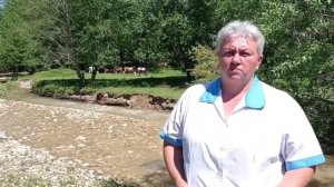 Доильный аппарат и мастит у коров.