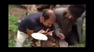 это мой гриб я его ем