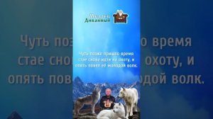 Притча - Тост / За дружбу! Тост ЗА ДРУЗЕЙ!