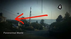 Топ 5  существ которые похожи на Годзиллу снятых на камеру