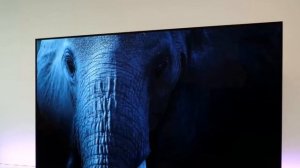 Телевизор Haier 75 Smart TV S3