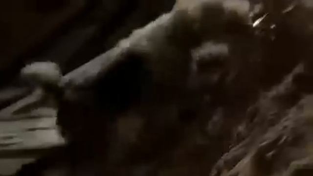 Пес приносящий счастье смотреть онлайн