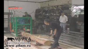 Дисковая пилорама горизонтального пиления Алтай ДПА550 цена pilam.ru