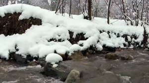 Музыка Для Души. Осень. Красивые осенние пейзажи. Прекрасная музыка композитора